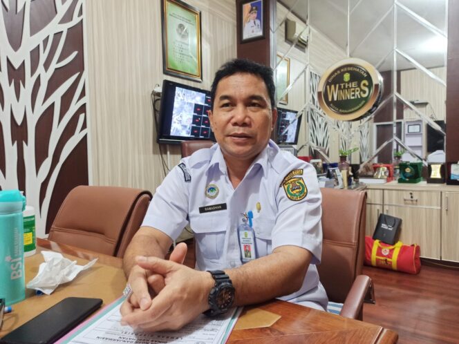 
 Kucing Bisa Sebabkan Penyakit Scabies? Ini Penjelasan Kadinkes Banjarmasin