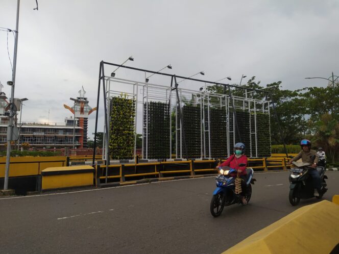
 Diganti Baru, Taman Vertikal di Dekat SPBU Sabilal Muhtadin Terlihat Berbeda Namun Menarik