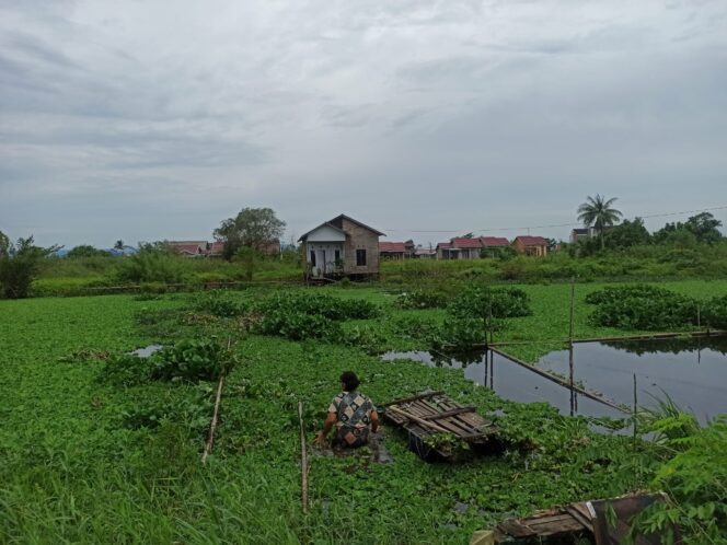 
 Ini Penjelasan Lurah Sungai Lulut Terkait Warga Tak Memiliki Akses Jalan