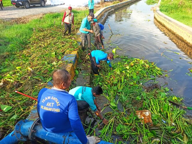 
 Miliki Potensi Besar, Eceng Gondok di Banjarmasin Dimanfaatkan Jadi Kerajinan Tangan Bernilai Jual