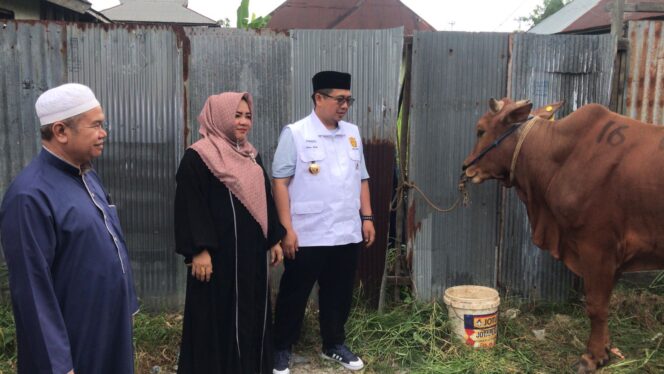 
 Ketua DPD Demokrat Kalsel Ibnu Sina, Serahkan Bantuan Sapi Kurban