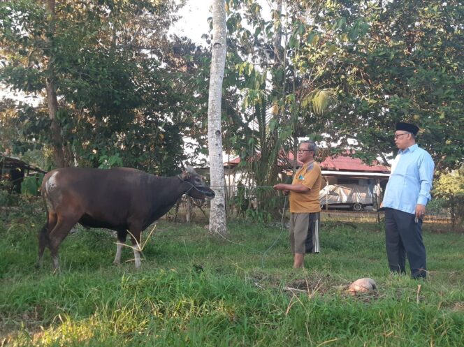
 DPC Demokrat HST Siap Bagikan Daging ke Masyarakat