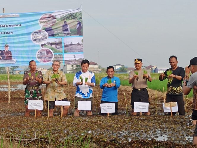 
 Tekan Inflasi Beras Lokal, Pemko Banjarmasin Jalankan Gerakan Menanam Padi Unggul