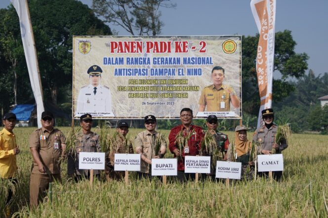 
 Panen Sekaligus Tanam Padi Bersama di Haruyan, Bupati Aulia: Inilah Mitigasi