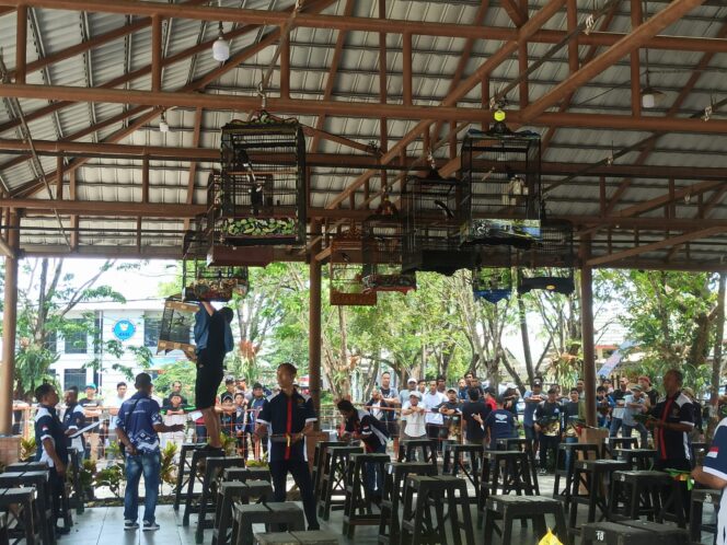 
 Lomba Burung Berkicau Wali Kota Cup IX 2023 Digelar