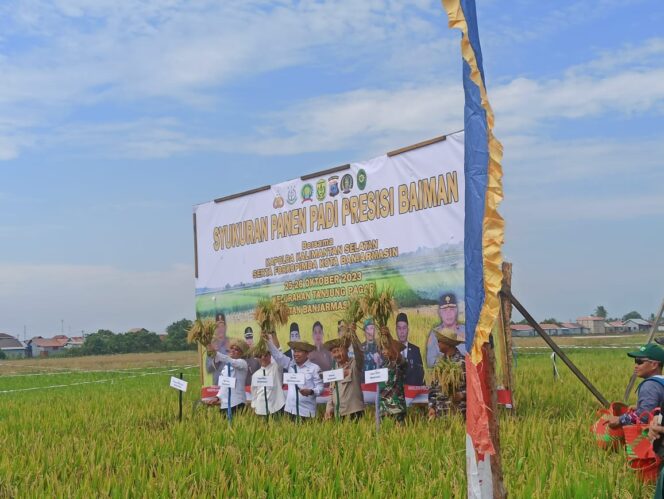 
 Kondisi Lahan Pertanian di Banjarmasin Pasang Surut, Tanam Bibit Unggul JadI Solusi