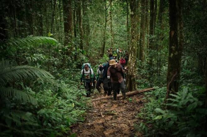 
 Ini Upaya Pemkab HST Hijaukan Bumi Murakata