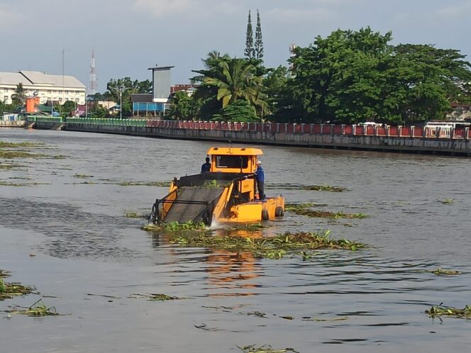 
 Eceng Gondok Penuhi Sungai Martapura Hingga Tutup Arus Lalu Lintas Sungai, Pembersihan Dilakukan