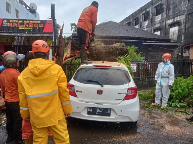
 Banyak Pohon Tumbang di Banjarmasin Akibat Curah Hujan Tinggi, Bagaimana Asuransi Pohon?