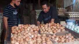 Ket foto : Telur Ayam mengalami kenaikan harga di Banjarmasin