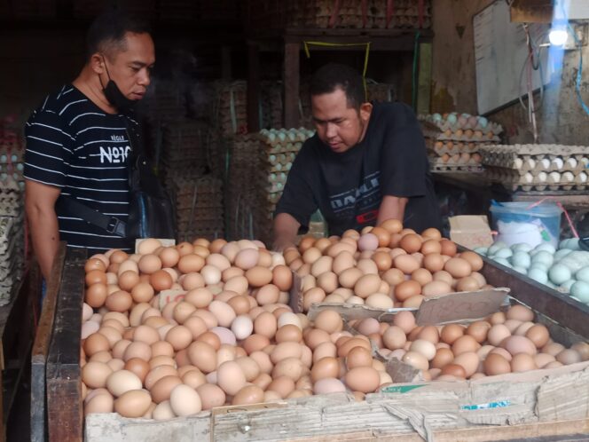 
 Ket foto : Telur Ayam mengalami kenaikan harga di Banjarmasin
