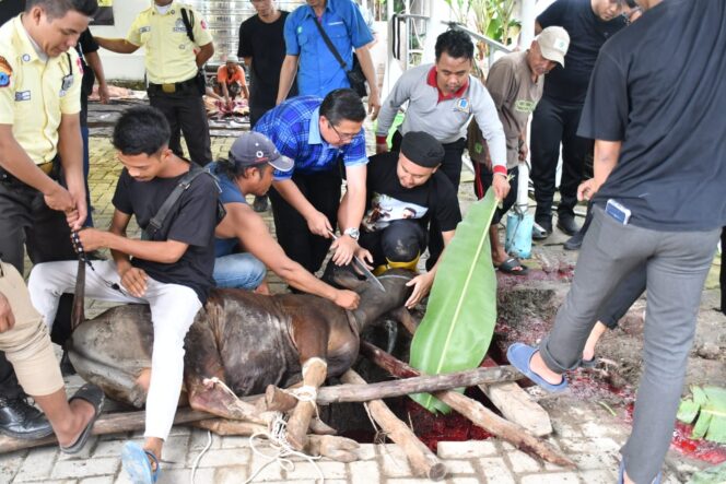 
 Wali Kota Banjarmasin Serahkan dan Ikut Menyembelih Sapi Kurban RSUD Sultan Suriasnyah