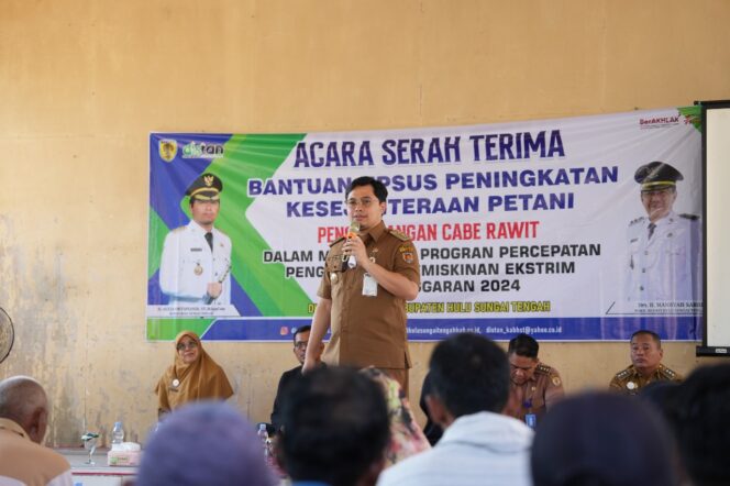 
 Bantuan Untuk Petani Cabai Rawit di HST, Bupati Aulia: Sudah Ada Riset Distan