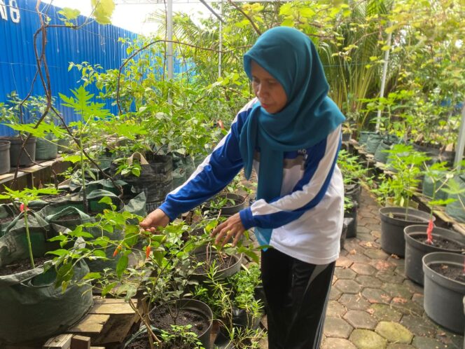 
 Suasana Proklim Sungai Miai RW 2 penuh penanaman sayur-mayur di pekarangan rumah.