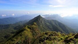 Gunung Halau-Halau di BAT HST.