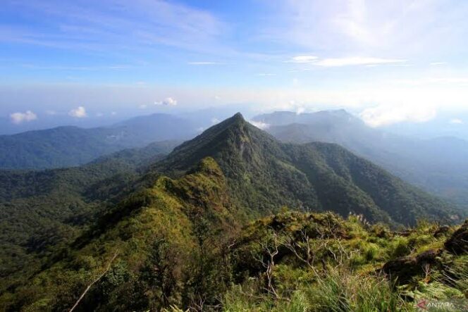 
 Gunung Halau-Halau di BAT HST.
