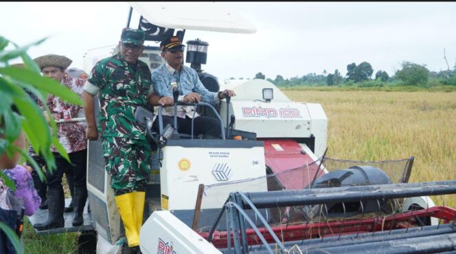 
 Wali Kota Yamin Apresiasi Hasil Panen Padi yang Melimpah di Banjarmasin